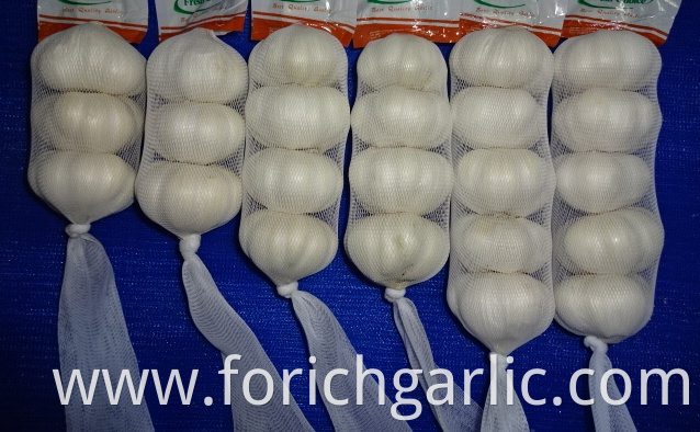 2019 Fresh New Crop Pure White Garlic